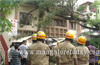 Huge tree rolls over  house  at Kadri